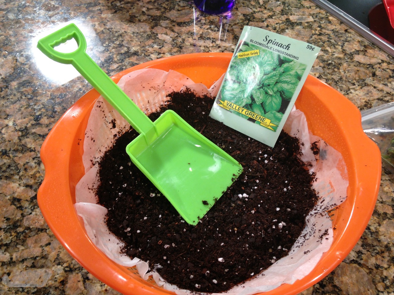 Colander Gardens for Kids Countryside